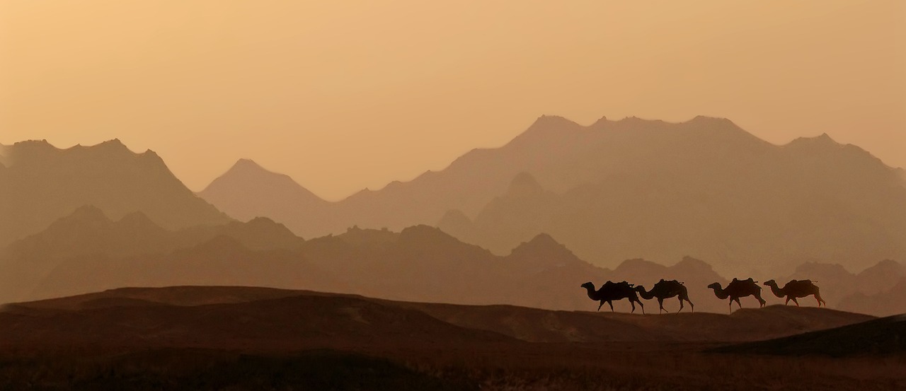 丝路古道 · Ancient Silk Road