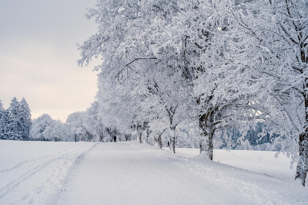 雾凇雪路 · Rime and Snowy Street
