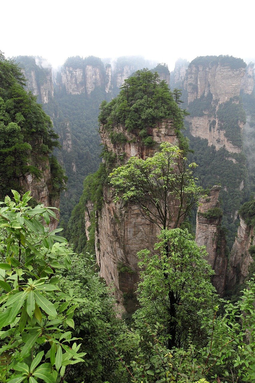 峰林秀色 · Pillar Forest Scenery