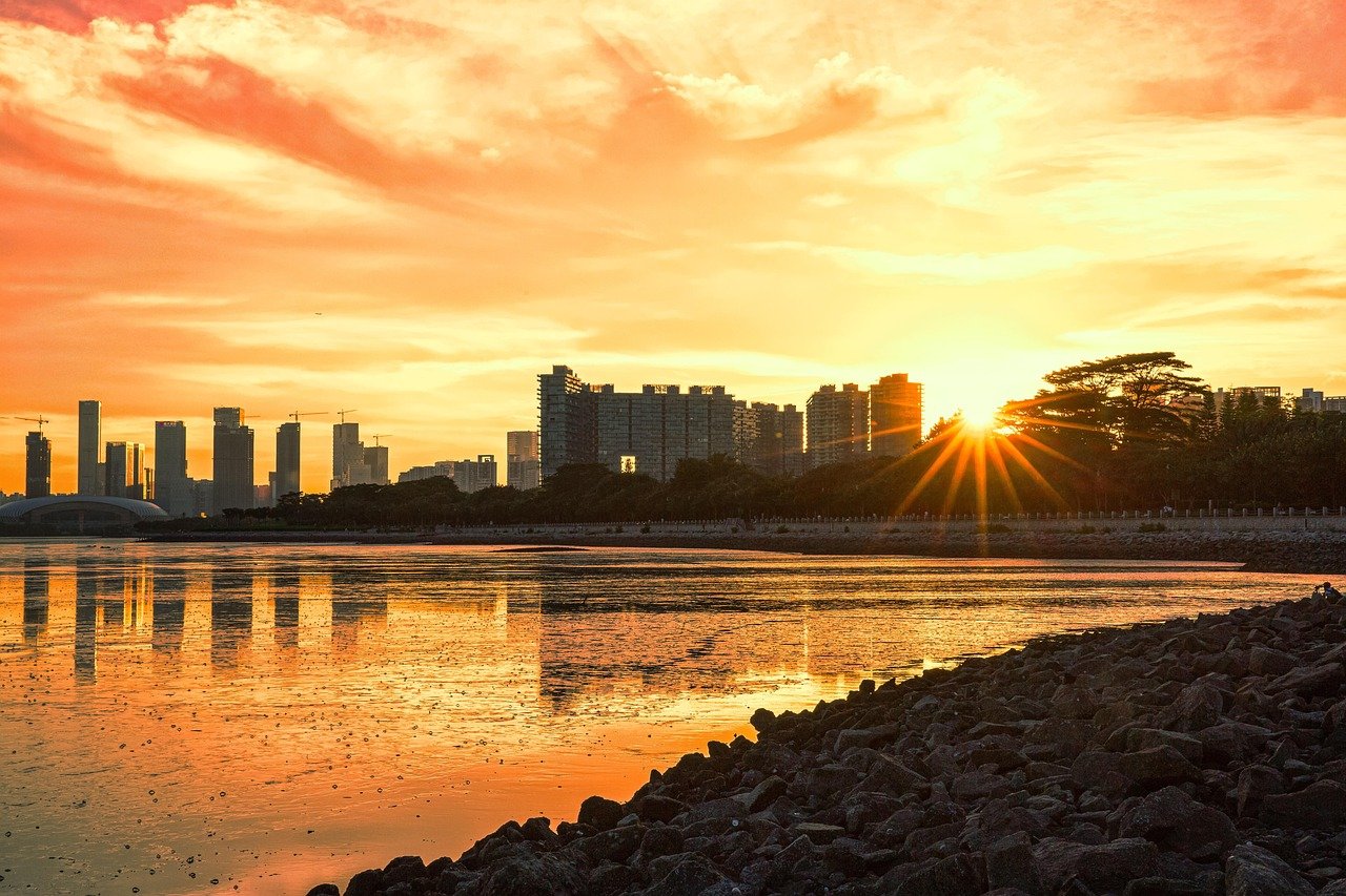 红树林日落 · Mangrove Sunset at Shenzhen Bay